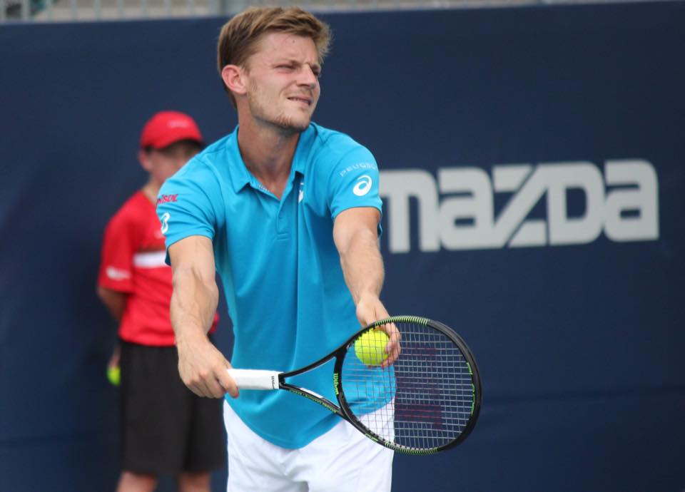 david goffin